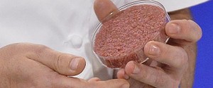 laboratorio-hamburguesa--647x270