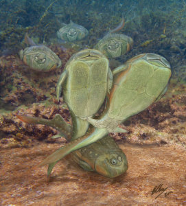 microbrachius_dicki___sex_in_the_devonian_by_gogosardina-d83fejj